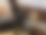 barclgup